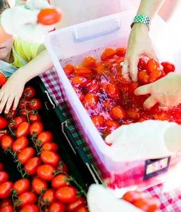 Melbourne’s Tomato Festival is back in 2017