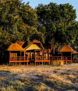 A luxury safari though Botswana’s Okavango Delta