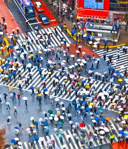 24 hours in Tokyo