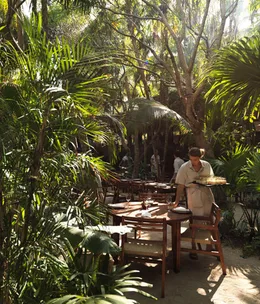 Fifty-four things that went through my mind while eating dinner at Noma Mexico