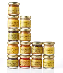 The world of fermentation