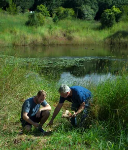 Harvest to bring guest chefs to Newrybar this winter
