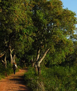 Walking Portugal’s Rota Vicentina