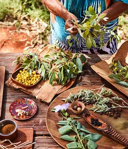 Bush Tucker Journeys at Uluru
