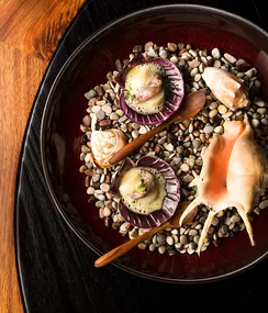 Why Orana is Australia’s Restaurant of the Year