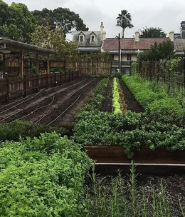 Five food companies that have made a commitment to sustainability