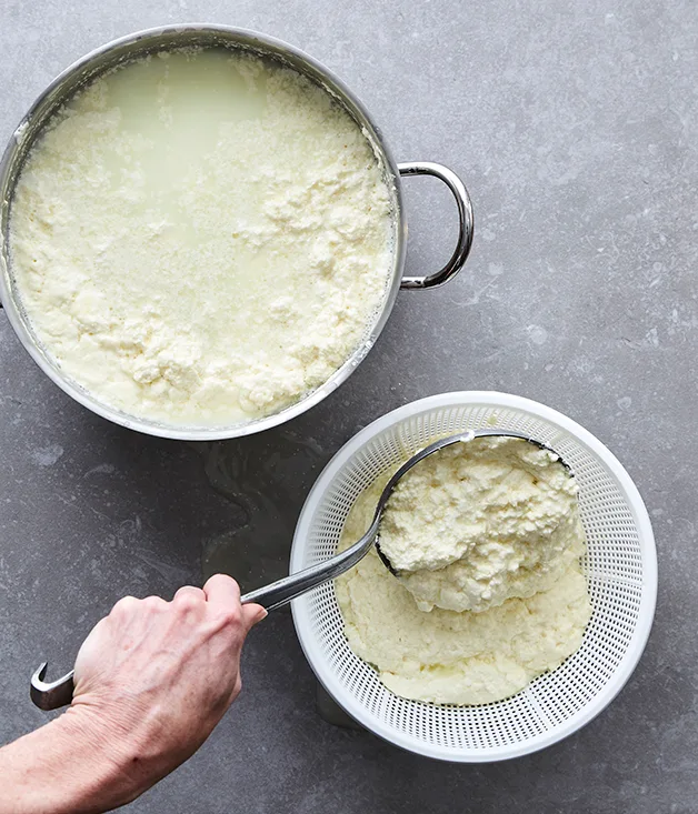 How to make ricotta | Gourmet Traveller