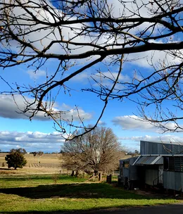 24 hours in Murrumbateman