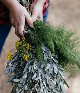 Get to know native ingredients at Carriageworks Night Market