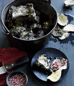 A history of the oyster