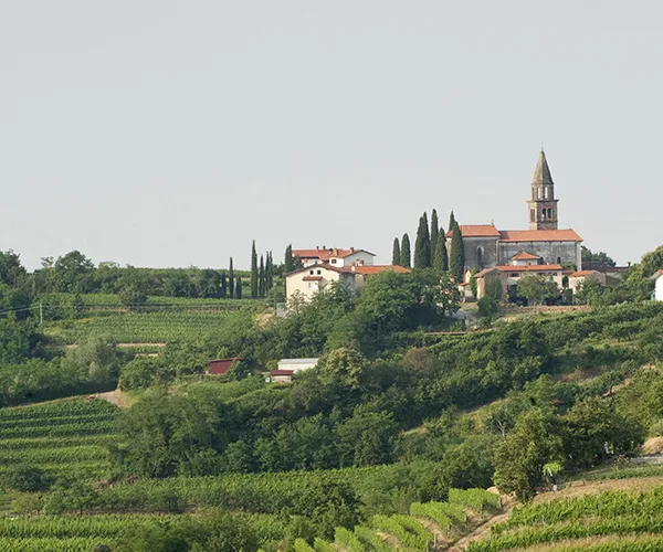 A culinary journey into the unexplored regions of Italy