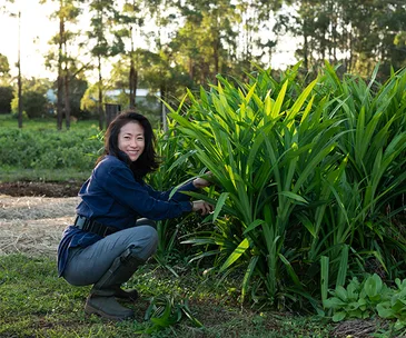 Boon Luck Farm in Byron Bay is hosting a knees-up this weekend