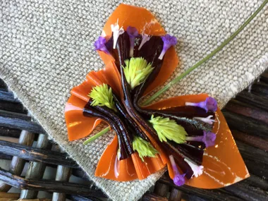 Sea buckthorn and blackcurrant butterfly off the Plants menu at Noma