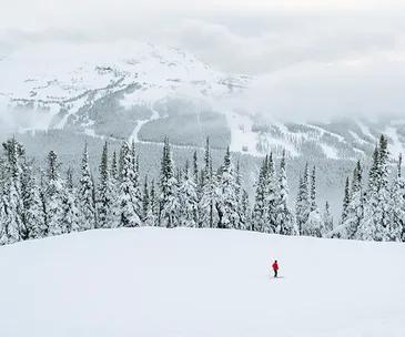 Heli-skiing in Whistler