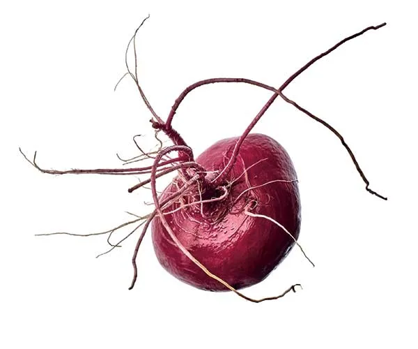 A Hida Beni red turnip