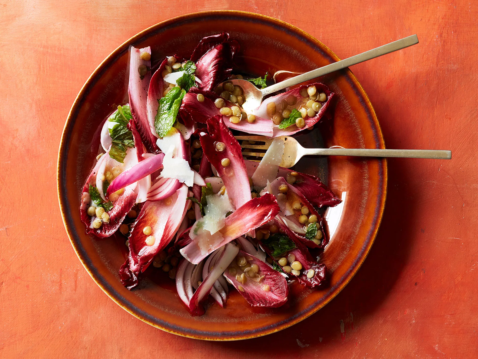 Insalata of bitter leaves, lentils,  onion and pecorino