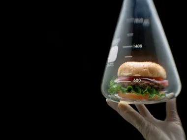 Lab meat