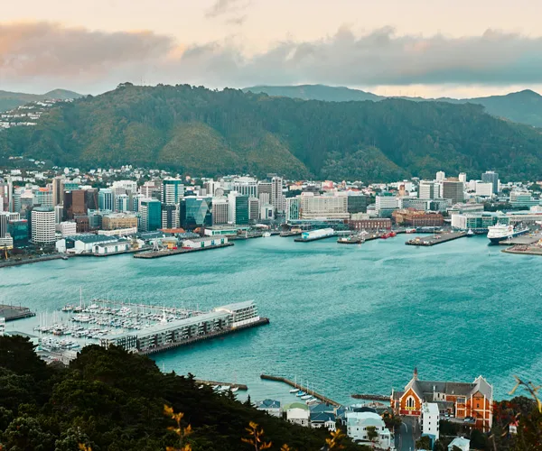 View of Wellington from Mount Victoria Lookout.