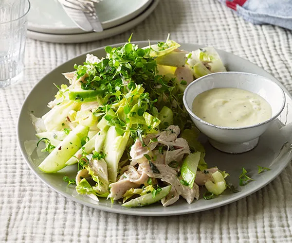 Roast chicken salad with cider, apple and witlof