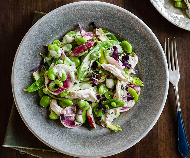 Poached chicken, broad bean, radish and young garlic salad