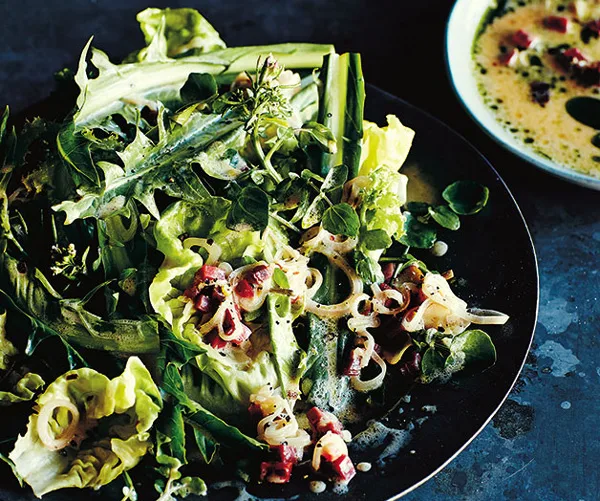 Gregory Llewelyns butter lettuce and dandelion salad with hot bacon dressing Gregory Llewelyns butter lettuce and dandelion salad with hot bacon dressing