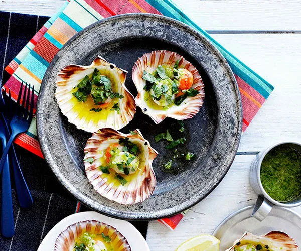 Grilled scallops in the shell
