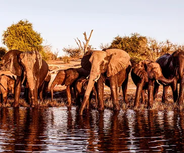 Experience the best of Africa