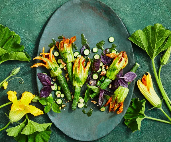 Stuffed zucchini flowers with basil sauce
