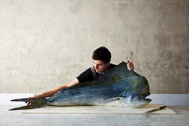 Josh Niland wins book of the year at the James Beard Foundation Awards