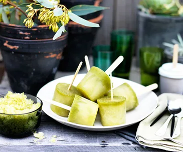 Pineapple, kombucha and mint ices