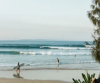 A food lover’s guide to the Sunshine Coast