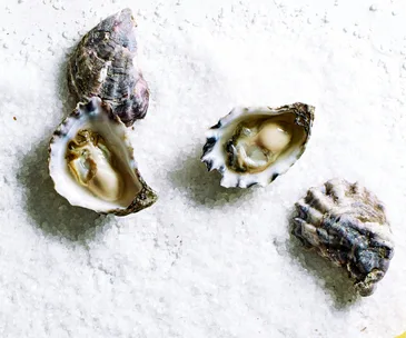 Your guide to oysters (and why you should serve them up this summer)