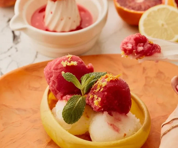 Citrus dessert: Orange and lemon sorbet