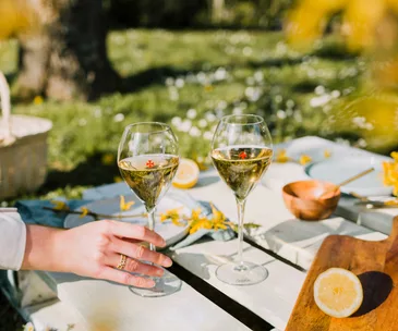 Picnics, parties, pergolas: How to elevate your outdoor dining experience