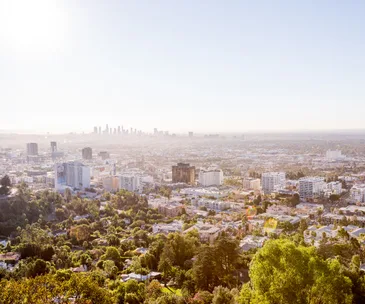 Back to La La Land
