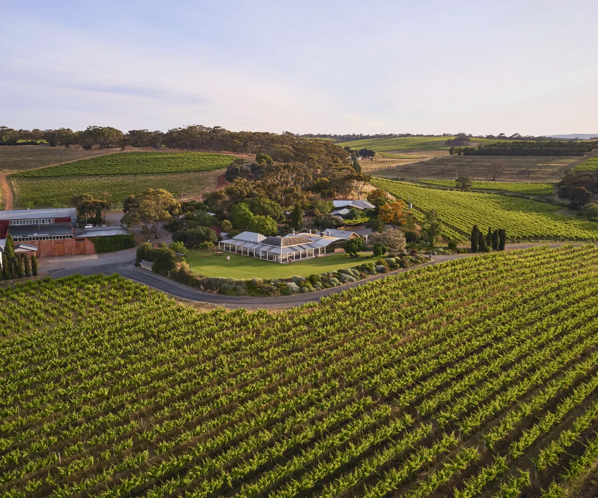 McLaren Vale aerial view of the sprawling vineyard Corio le Vineyard.