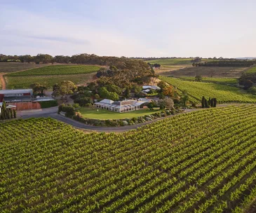McLaren Vale aerial view of the sprawling vineyard Corio le Vineyard.