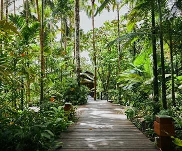 GT’s destination guide: Silky Oaks Lodge, the Daintree
