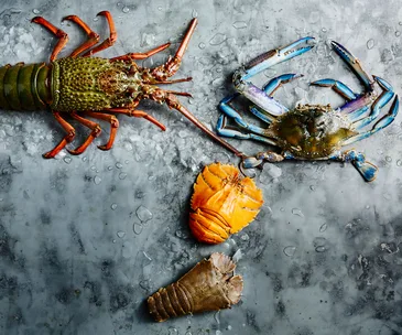 Guide to different types of crustaceans