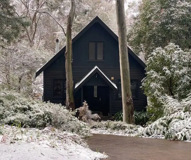 A black cabin surrounded by snow-covered trees and bushes in a forest setting.