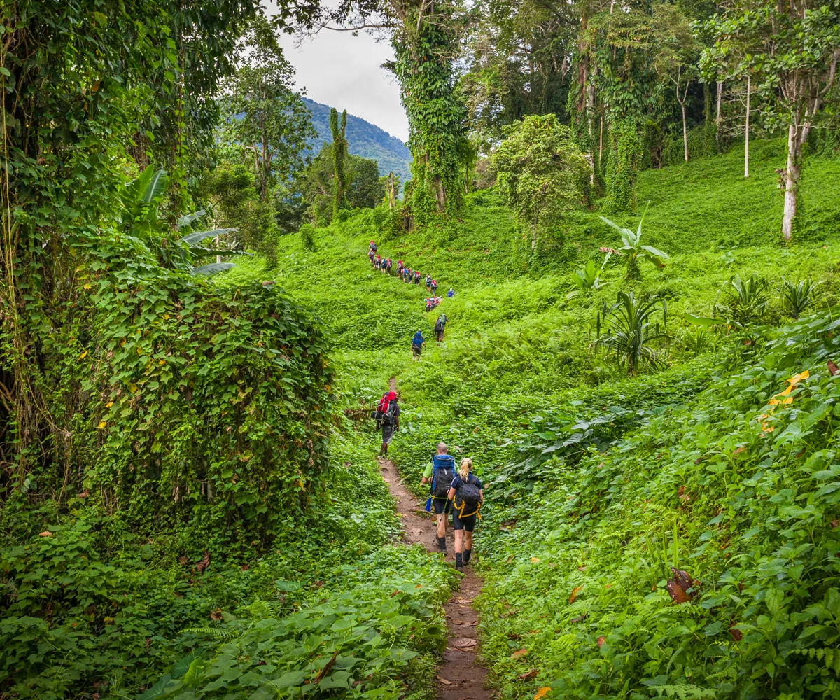 Kokoda Track Papua New Guinea, also known as the Kokoda Trail