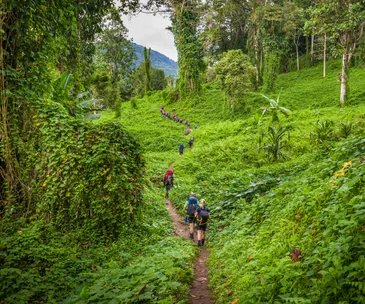 Kokoda Track Papua New Guinea, also known as the Kokoda Trail 