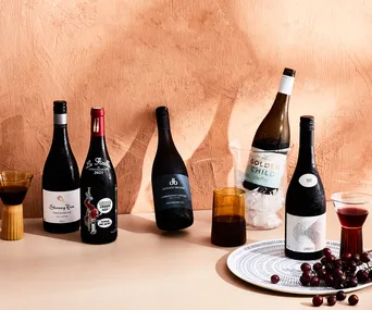 Best chilled red wine against a terracotta background. Three glasses are poured with grapes on the table.
