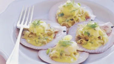 Scallops with fennel and pernod sauce