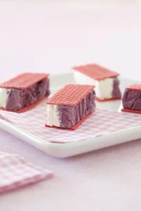 Blueberry ice cream slice
