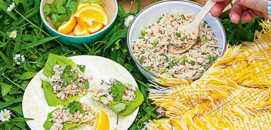 Turkey larb