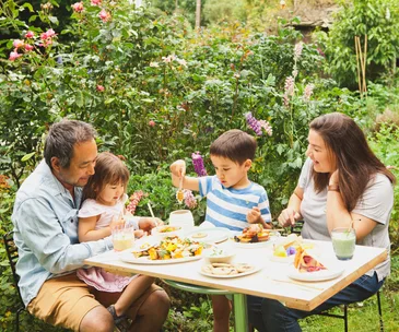 Heavenly honey recipes & how to protect the future of bees