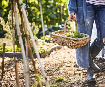 girl in vegetable garden with basket