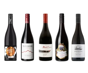 The best pinot noirs from Taste's Top Wine Awards 2019