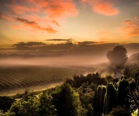 All the winners from Taste magazine's Top Wine Awards 2019